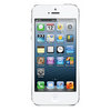 Apple iPhone 5 16Gb white - Чусовой